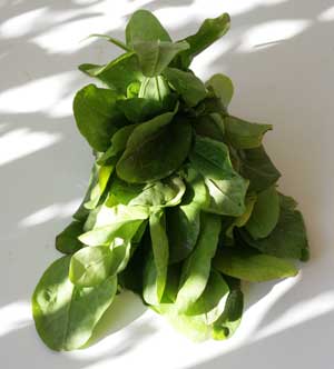 Beyond Spinach: Winter Greens in Greek Cooking