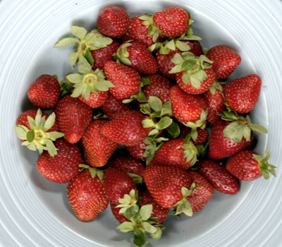 Strawberry Fields in Kifissia