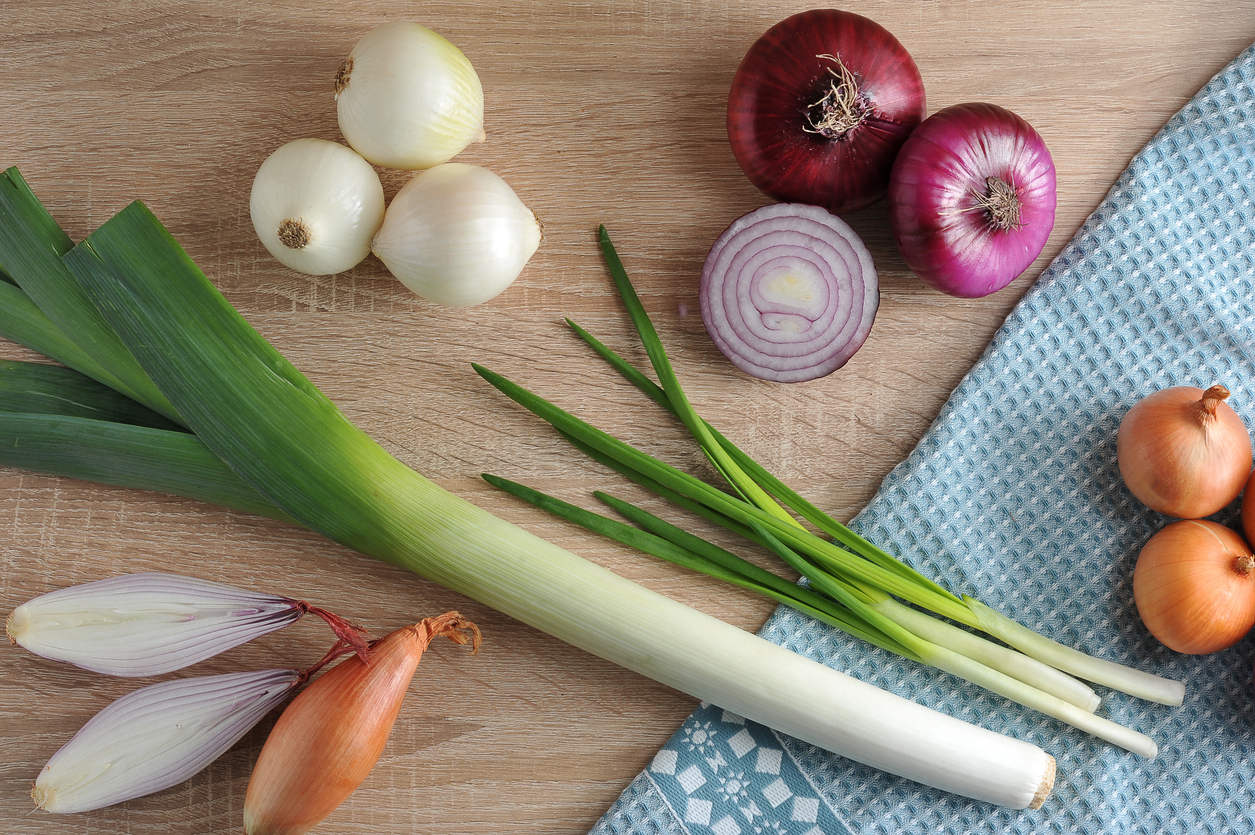 Ingredients in Spanakopita: Onions, Leeks and Scallions