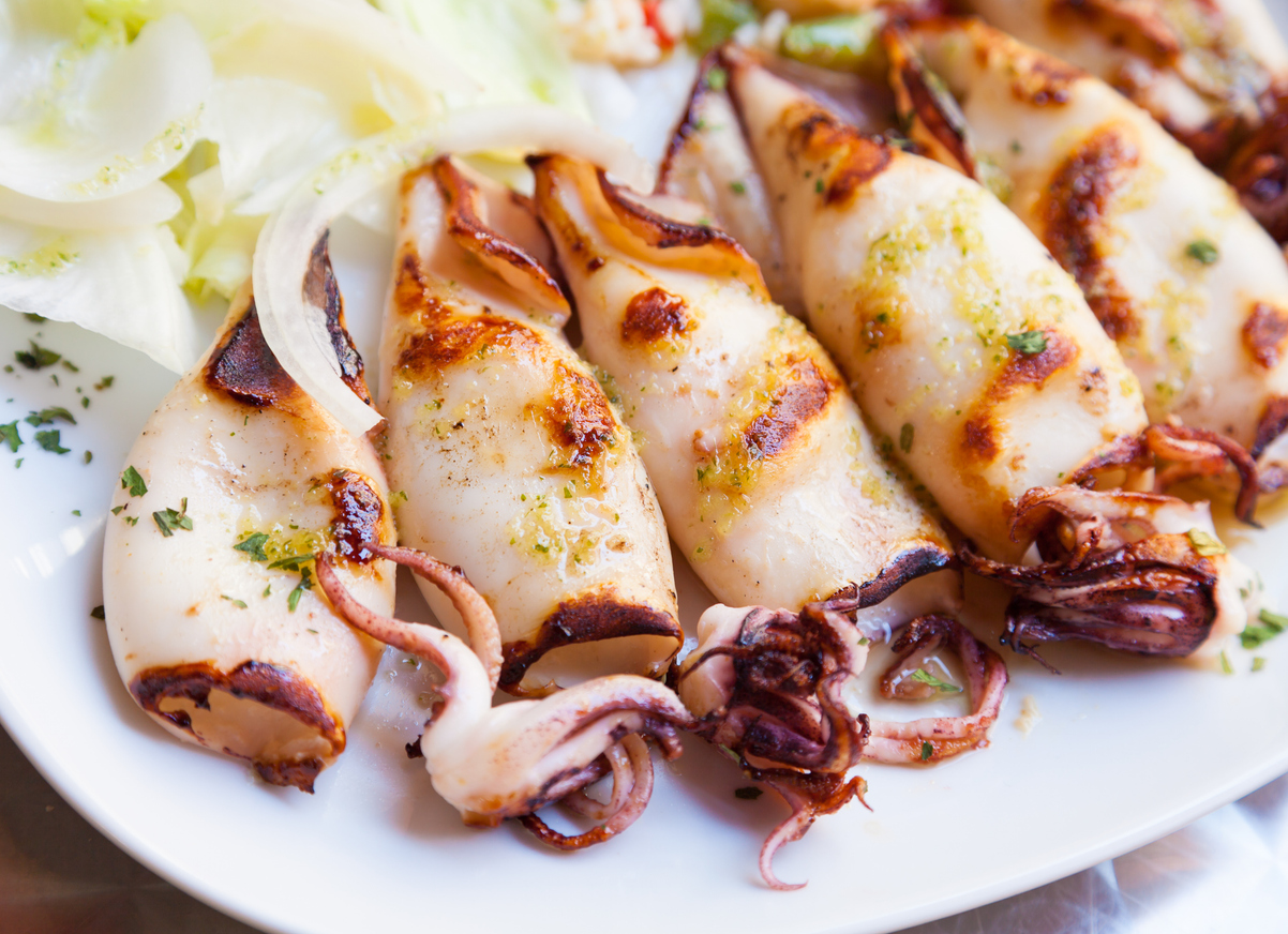 Grilled calamari